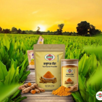 Turmeric Powder Benefits, Uses, Importance in Daily Cooking | Maher Group Ltd
